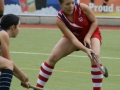 hockey-vs-collegiate-01
