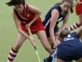 hockey-vs-collegiate-09