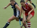 hockey-vs-collegiate-20