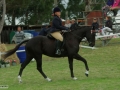 shania-mulder-equestrian-02