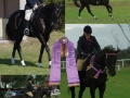 shania-mulder-equestrian-04
