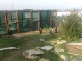 penguin03