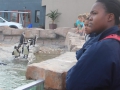 penguin12