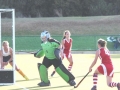 hockey01.jpg