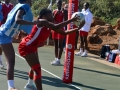netball02.jpg