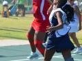 netball08.jpg