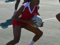 netball13.jpg