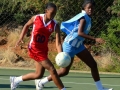 netball14.jpg