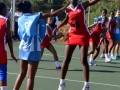 netball23.jpg