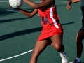 netball30.jpg