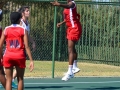 netball33.jpg