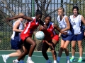 netball34.jpg