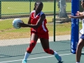 netball35.jpg