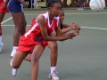 netball36.jpg