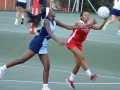netball37.jpg