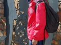 art11