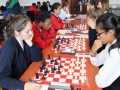 chess08