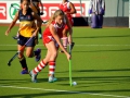 hockey14