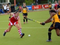 hockey17
