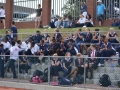 collegiate-02