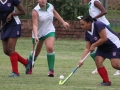 clarendon-hockey-01