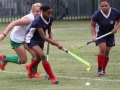 clarendon-hockey-02