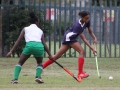 clarendon-hockey-03