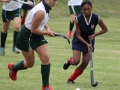clarendon-hockey-05