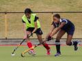 Merrifield-Hockey-1