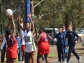 dsg-vs-ghs-11