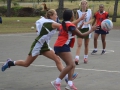 dsg-vs-ghs-7