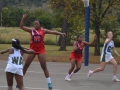dsg-vs-ghs-9