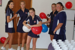 DSG 2012