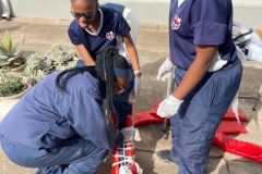 First Aid  Level 1 & 2  Course 2024