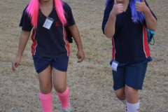Fun Walk 2014