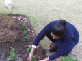 planting-with-GES-01