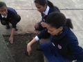 planting-with-GES-03