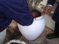 planting-with-GES-05