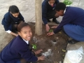 planting-with-GES-06