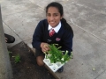 planting-with-GES-08