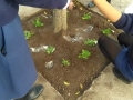 planting-with-GES-09