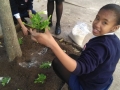planting-with-GES-10