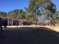 border-golf-2