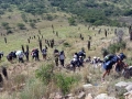 gr11-lo-walk-03