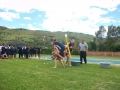 gr8-gr12-picnic03