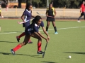 hockey-vs-cambridge-05