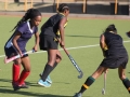 hockey-vs-cambridge-07