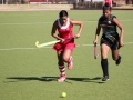 hockey-vs-cambridge-15
