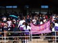 Inter-House-Athletics-20