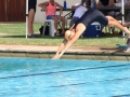 interhouse-gala-2017-9